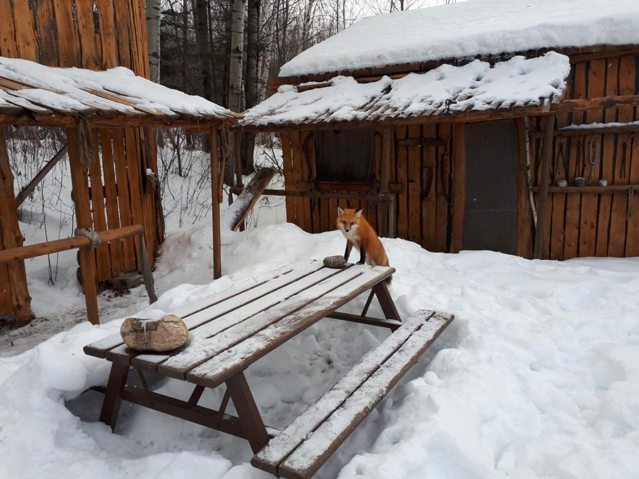 Hebergement De La Montagne St-Roch Saint Roch de Mekinac Dış mekan fotoğraf