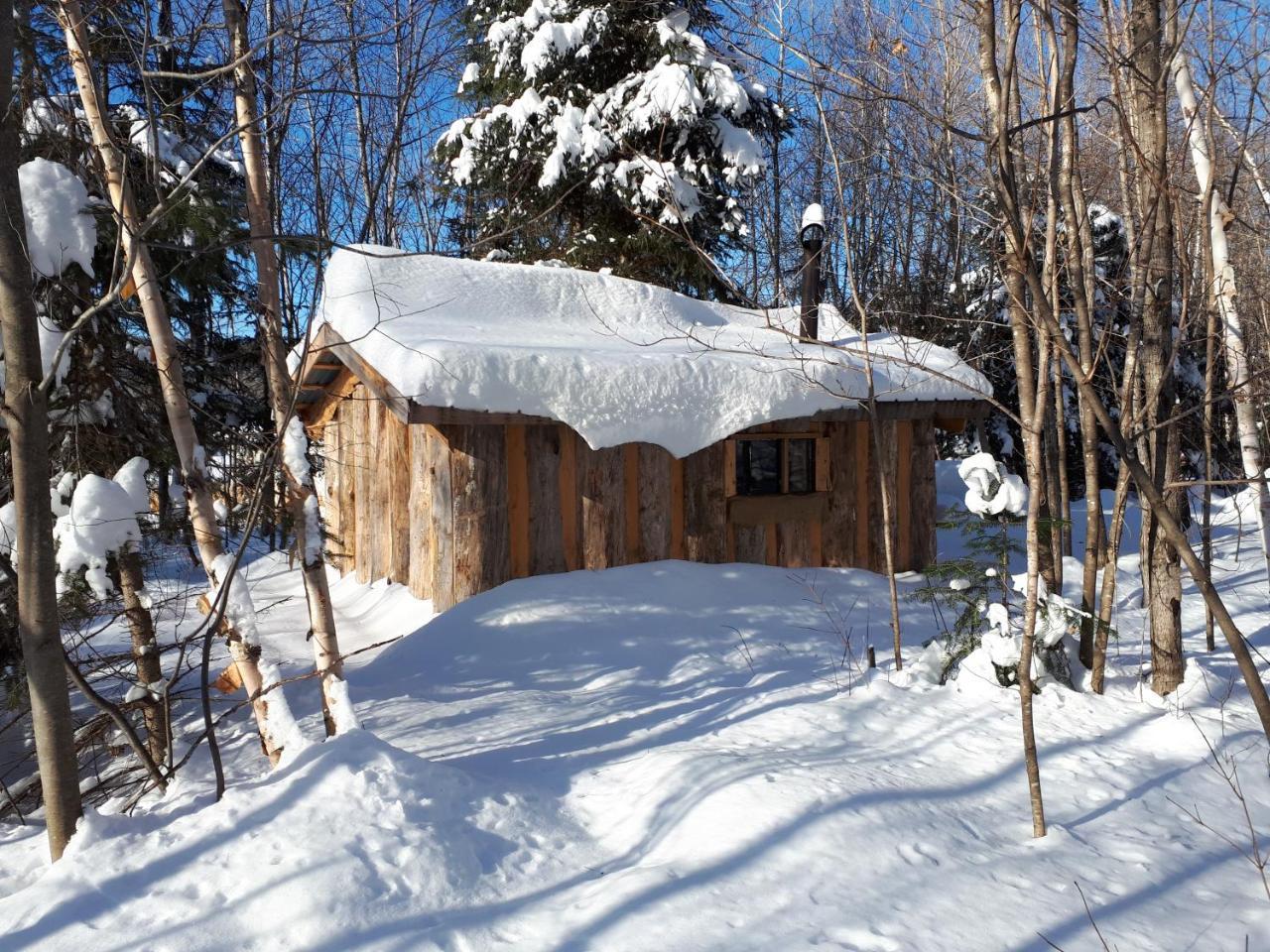 Hebergement De La Montagne St-Roch Saint Roch de Mekinac Dış mekan fotoğraf