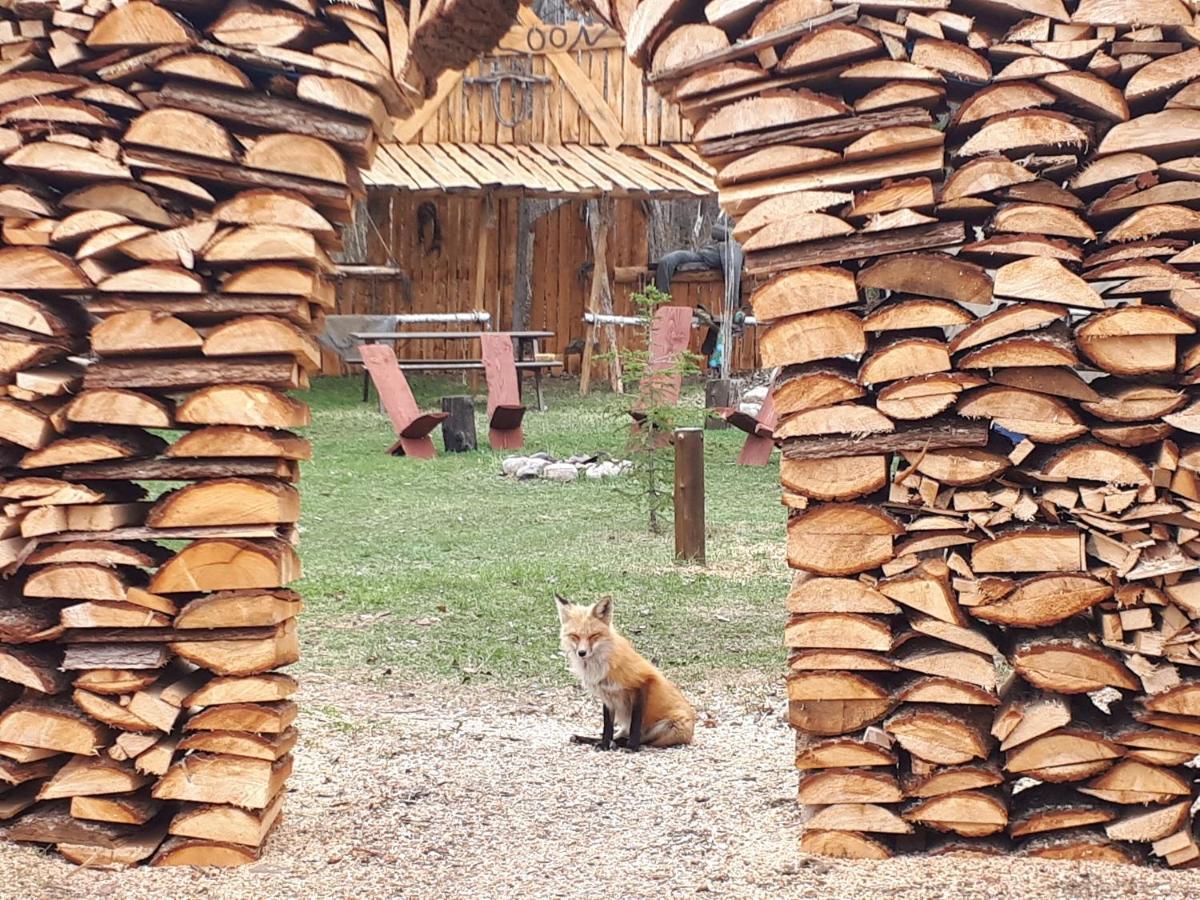 Hebergement De La Montagne St-Roch Saint Roch de Mekinac Dış mekan fotoğraf